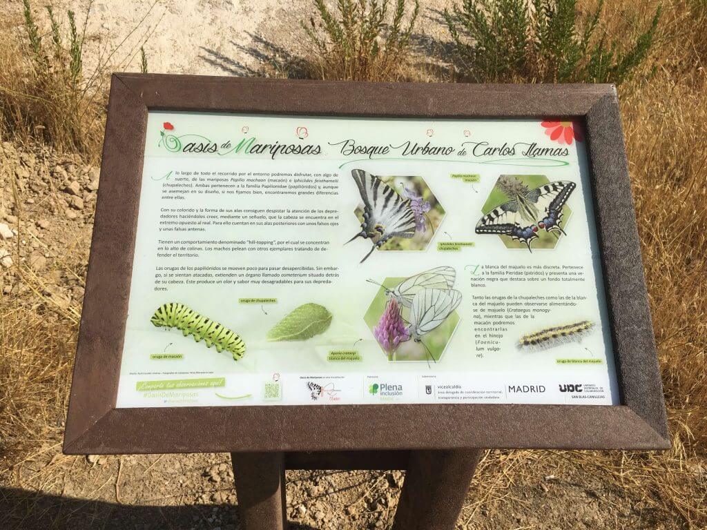 mesa informativa expositora mediana cartelada